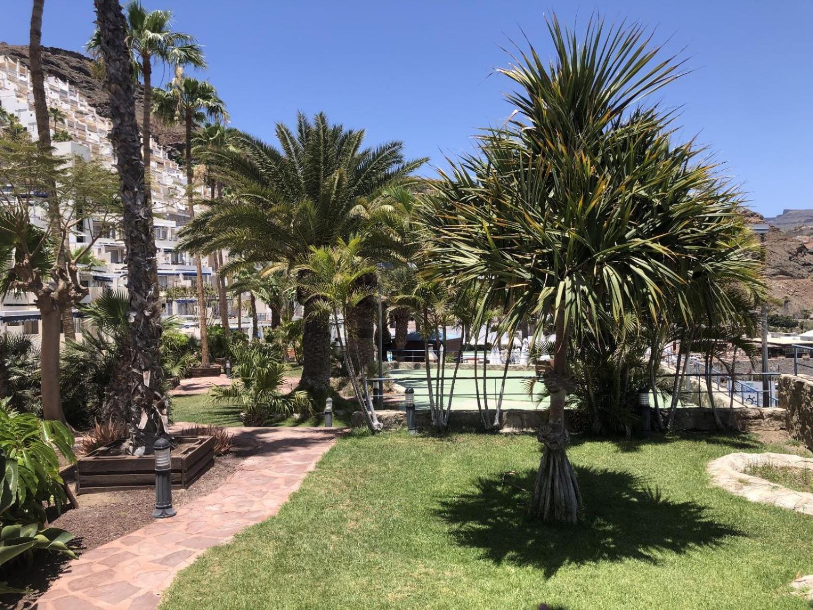 Blue Pearl - Pool - Terrace - Ocean View - Beach - Wifi - Wonderful Complex - Free Digital Travel Guide Mogán Exterior foto